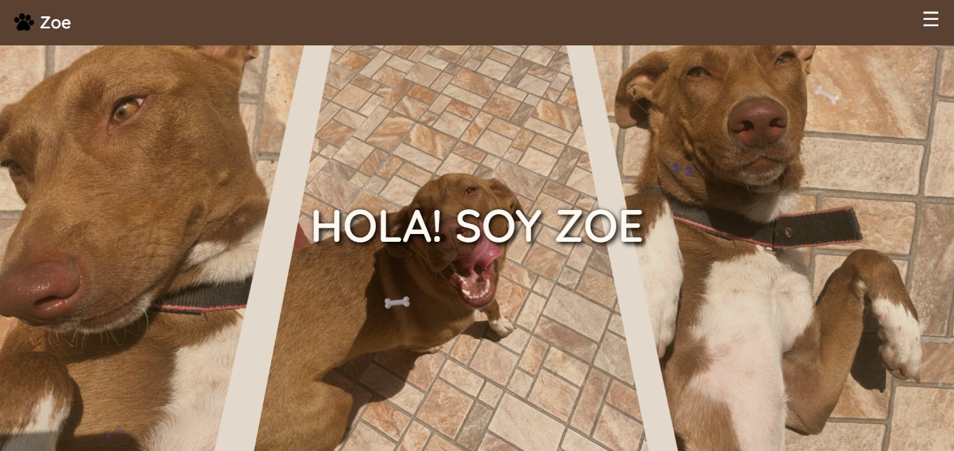 Recuerdo para Mascota